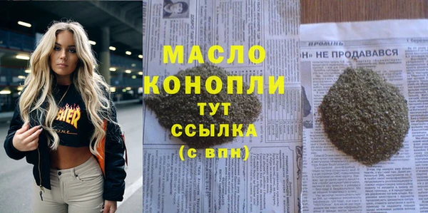 мет Каменка