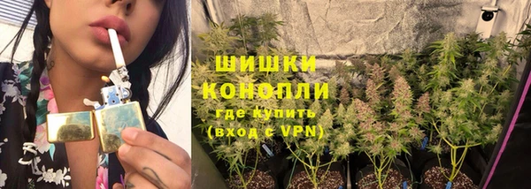 мет Каменка