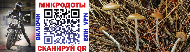 Псилоцибиновые грибы прущие грибы  Купить  Волжский 